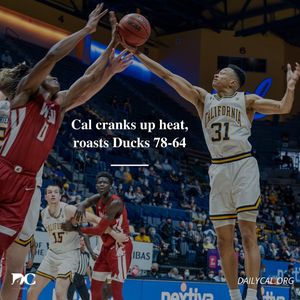 Image post by @dailycalsports on Instagram