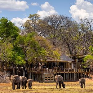 Image post by @chiawasafaris on Instagram