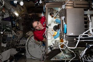 Image post by @NASA on Twitter/X