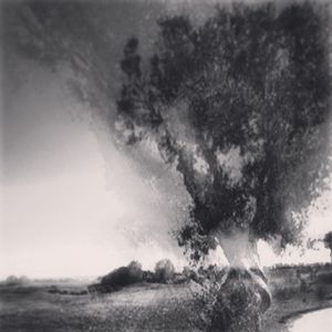 Image post by @francesco__laporta on Instagram