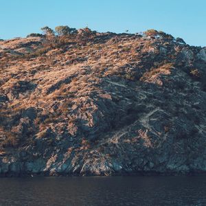 Image post by @willtrogdon on Instagram
