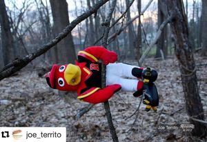 Image post by @rocredwings on Instagram