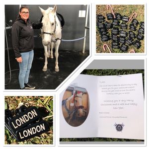 Image post by @equineidsolutions on Instagram