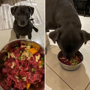 Image post by @bestforpetsmelb on Facebook