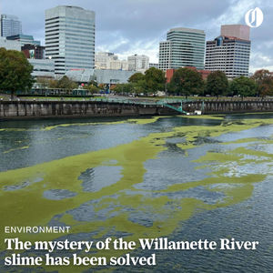 Image post by @theoregonian on Instagram