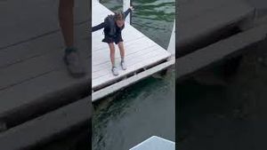 Video post by @espn on YouTube