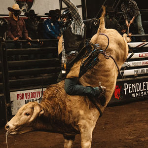 Image post by @pendletonwhisky on Instagram