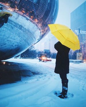 Image post by @willtrogdon on Instagram