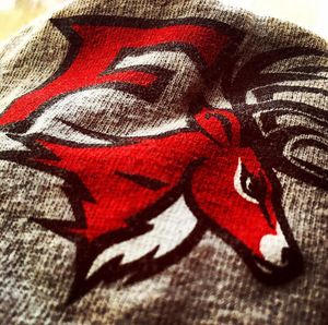 Image post by @fairfieldu on Instagram