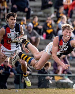 Image post by @afl on Instagram