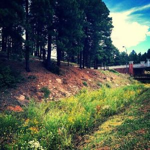 Image post by @nauflagstaff on Instagram