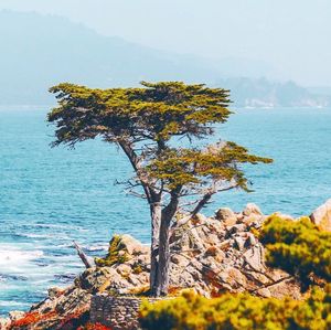 Image post by @pebblebeachresorts on Instagram