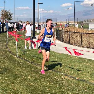 Image post by @dyestat on Instagram
