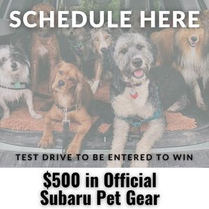 Image post by @mccarthysubaru on Instagram