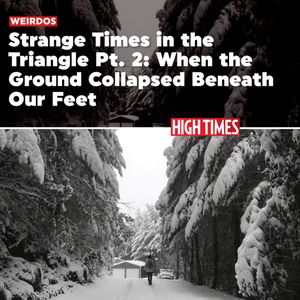 Image post by @hightimesmagazine on Instagram