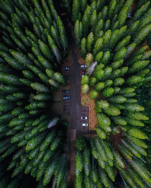 Image post by @dronepals on Instagram