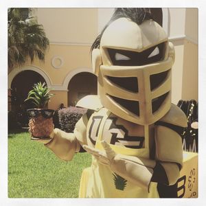 Image post by @rosencollege on Instagram