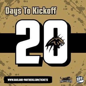 Image post by @panthersifl on Instagram
