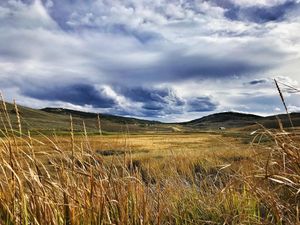 Image post by @granbyranch on Instagram