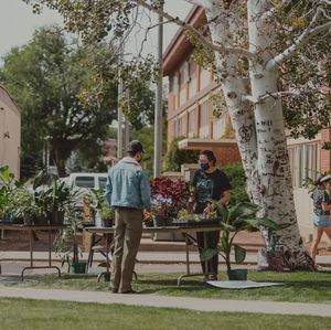 Image post by @nauflagstaff on Instagram