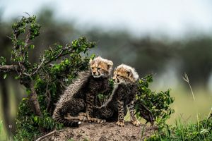 Image post by @natgeo on Instagram