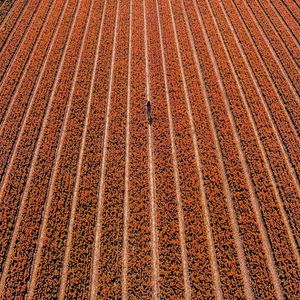 Image post by @dronepals on Instagram