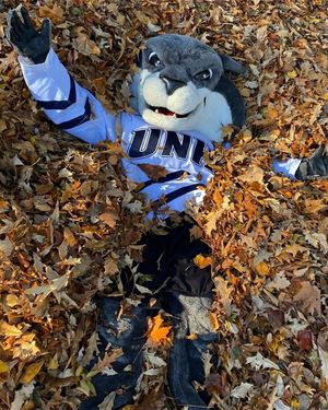 Image post by @uofnh on Instagram