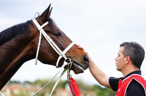 Image post by @australianturfclub on Instagram