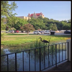 Image post by @txst on Instagram