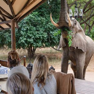 Image post by @chiawasafaris on Instagram