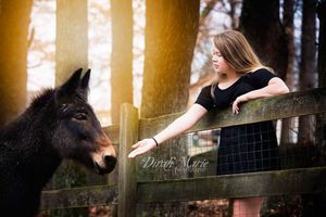 Image post by @dinahmariephotography on Instagram