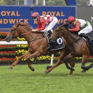 Image post by @australianturfclub on Instagram