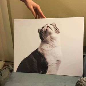 Image post by @kbarly on Instagram