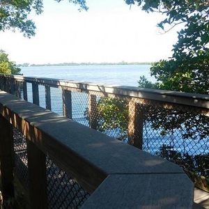 Image post by @visitsarasotacounty on Instagram