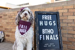 Image post by @tamu on Instagram