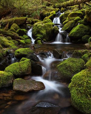 Image post by @nationalparkscollective on Instagram