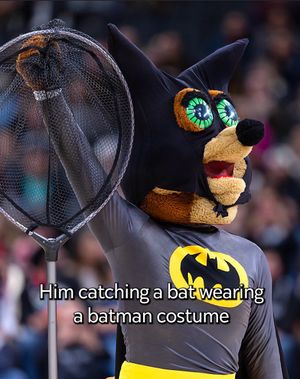 Image post by @spurs on TikTok