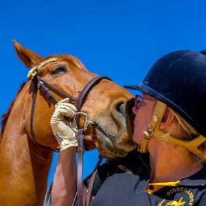 Image post by @equine_entrepreneurs_ on Instagram
