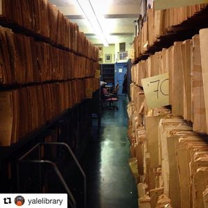 Image post by @yalevolleyball on Instagram