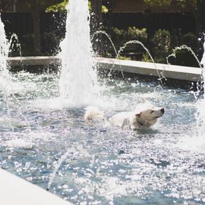 Image post by @collegeofcharleston on Instagram