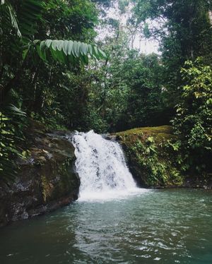 Image post by @svastha.cr on Instagram