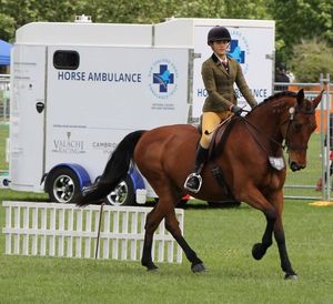 Image post by @NZHorseAmbulanceTrust on Facebook