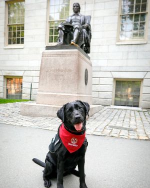 Image post by @harvard on Instagram