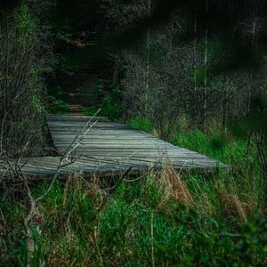 Image post by @outsideoptix on Instagram