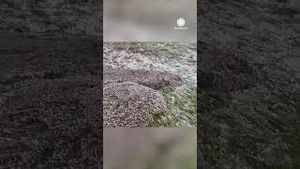 Video post by @accuweather on YouTube