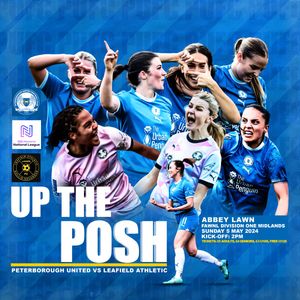 Image post by @theposhwomen on Twitter/X