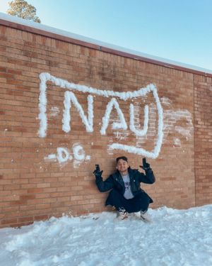Image post by @nauflagstaff on Instagram