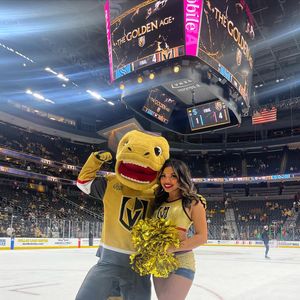 Image post by @chancenhl on Instagram