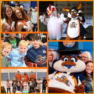 Image post by @swamprabbits on Instagram