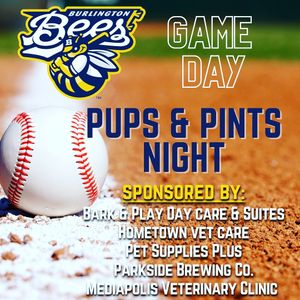Image post by @burlington_bees on Instagram